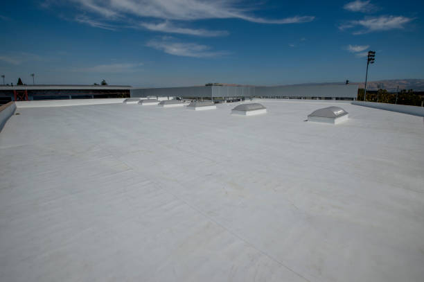 Best Cold Roofs  in Eutaw, AL