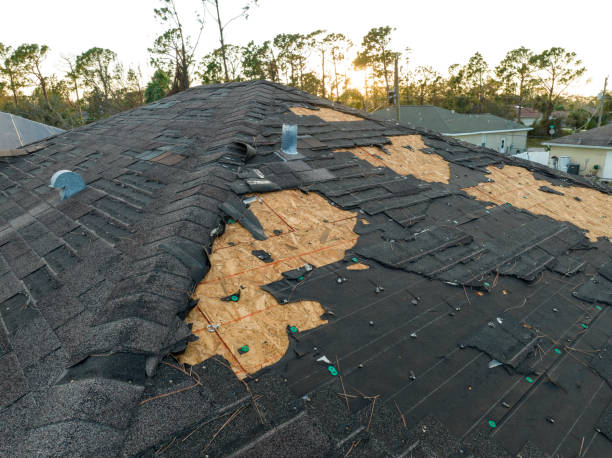 Best Gutter Installation and Repair  in Eutaw, AL
