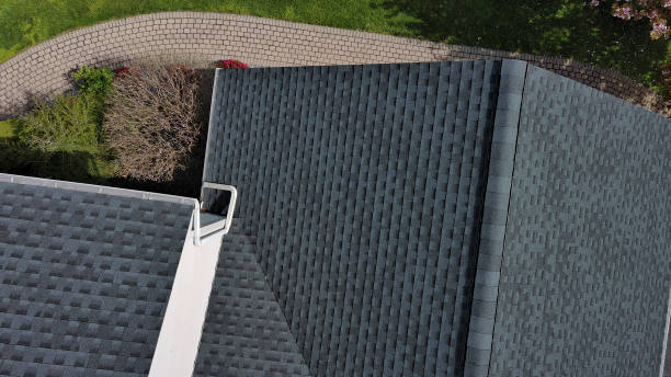Best Roof Ventilation Installation  in Eutaw, AL