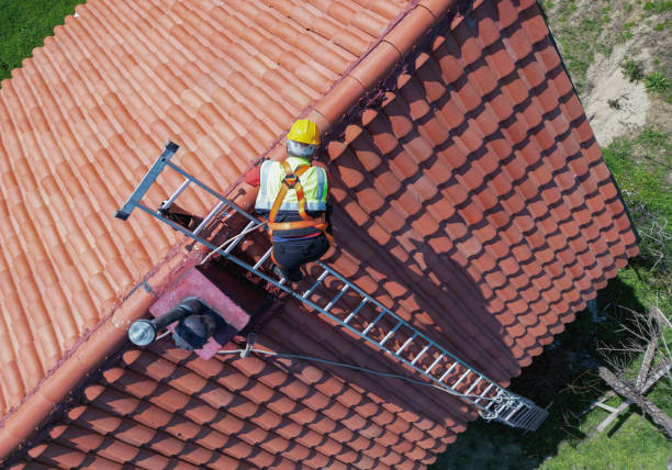 Best Solar Panel Roofing Installation  in Eutaw, AL