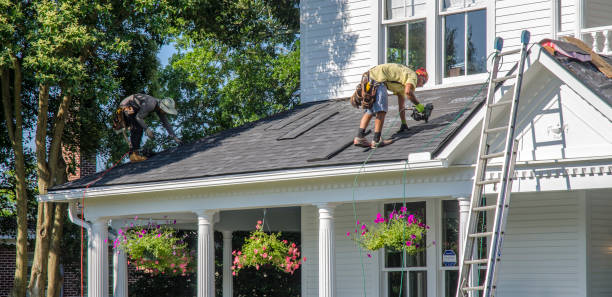 Best Chimney Flashing Repair  in Eutaw, AL